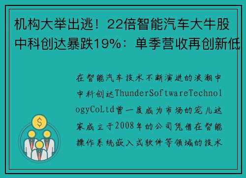 机构大举出逃！22倍智能汽车大牛股中科创达暴跌19%：单季营收再创新低