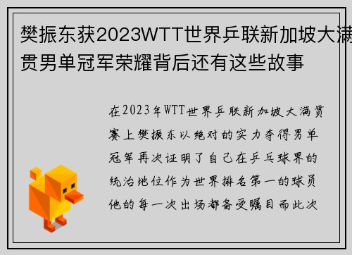 樊振东获2023WTT世界乒联新加坡大满贯男单冠军荣耀背后还有这些故事